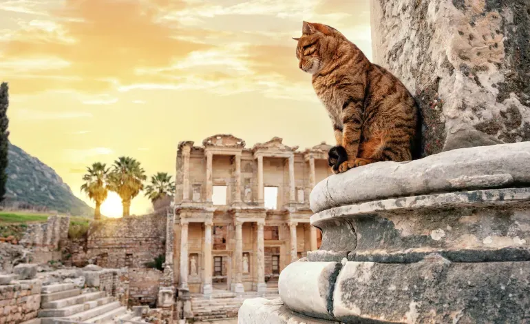 The Ephesus Flow
