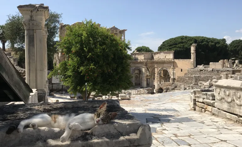 Half-Day Ephesus Tour